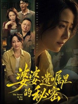 婆婆遗嘱里的秘密现代都市在线观看